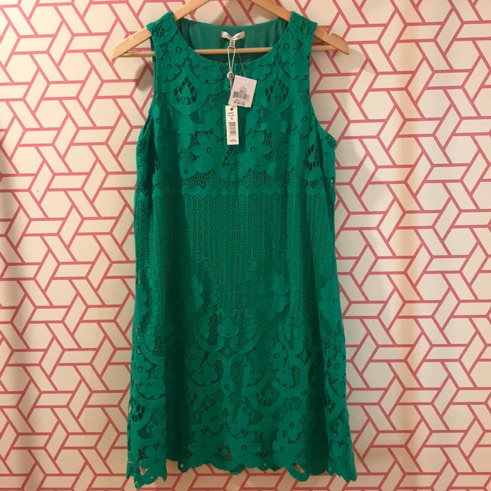 NWT kelly green Max Studio lace dress